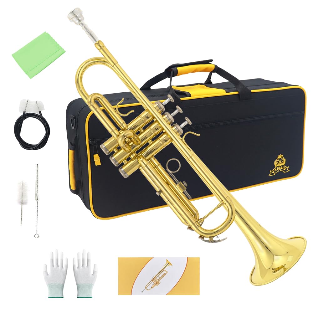 Trumpet Instrument with Case, Mouthpiece, Cloth and Gloves B607