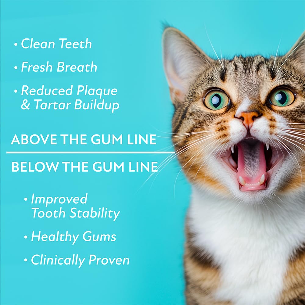 Probiotic Food Topper for Cat Oral Care Z657