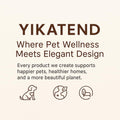 Elevated Stainless Steel Cat and Dog Bowl Set Q4117