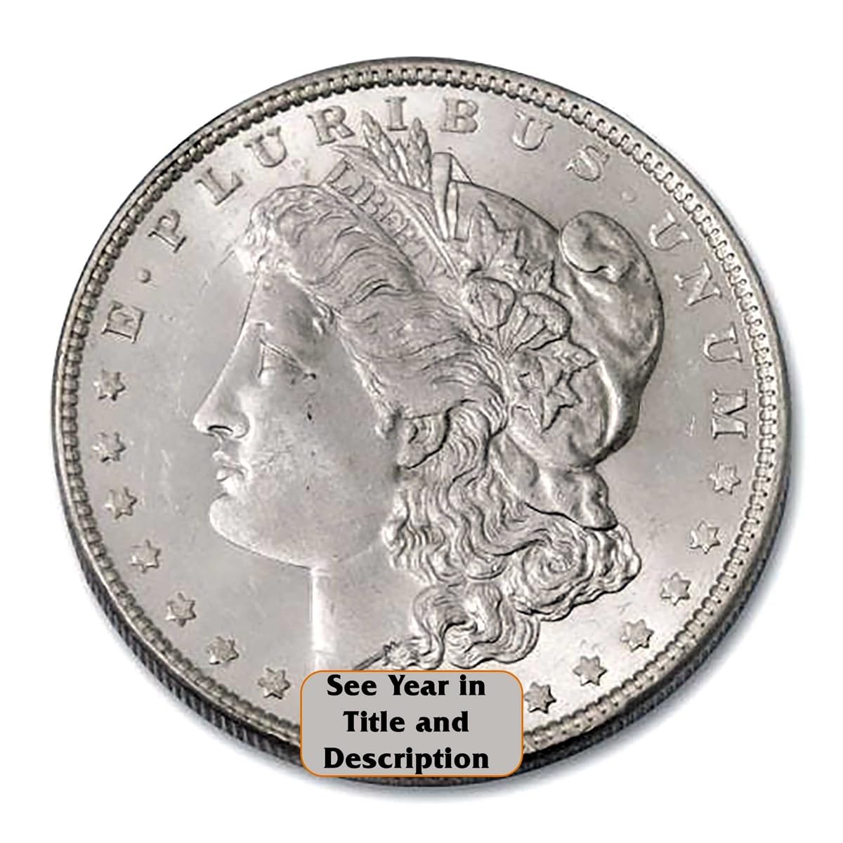 Morgan Silver Dollar P82844