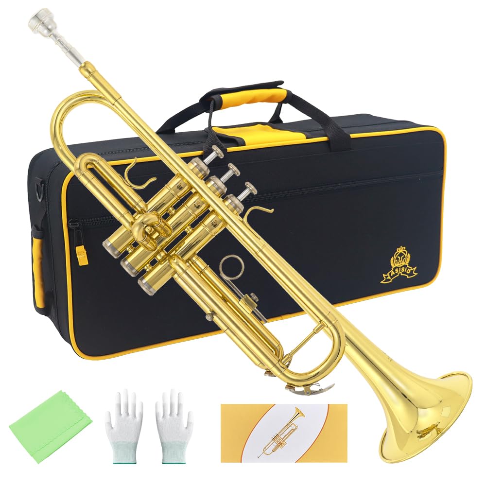 Trumpet Instrument with Case, Mouthpiece, Cloth and Gloves B607