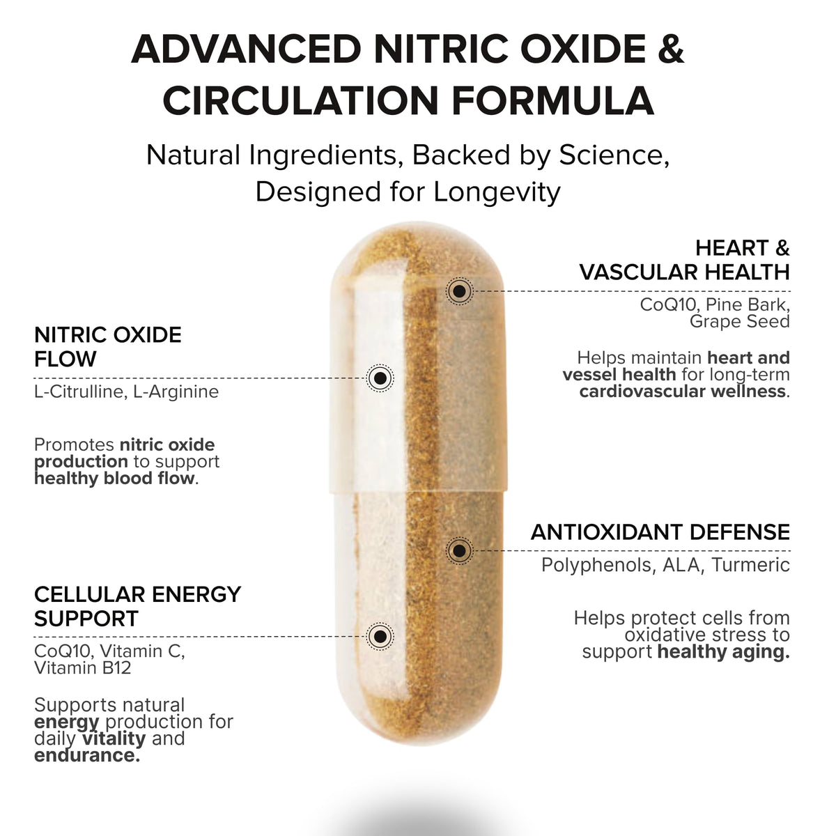 Nitric Oxide Supplement H594