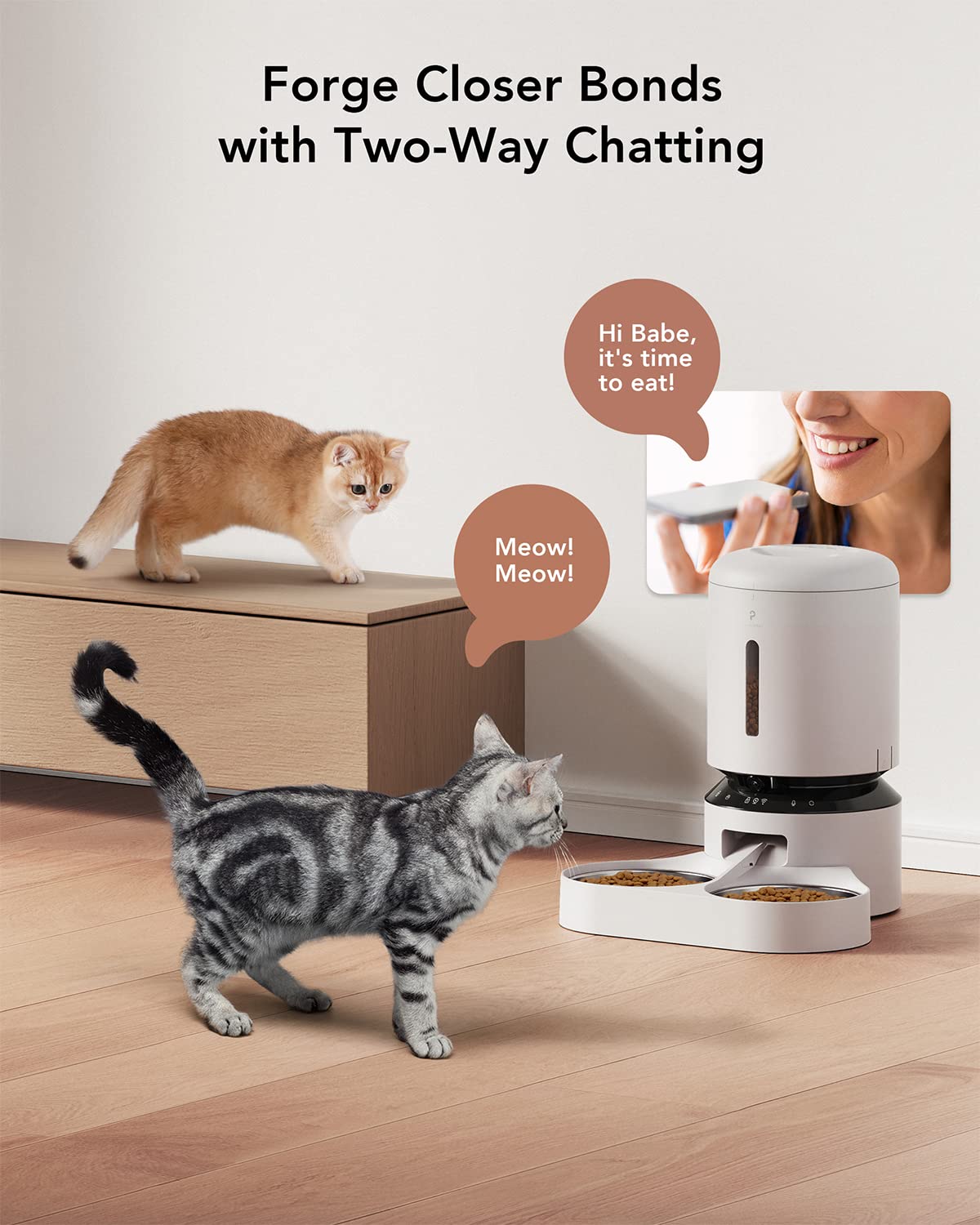 Automatic Cat Feeder with Camera 1080P HD Video 5G WiFi 2-Way Audio C146
