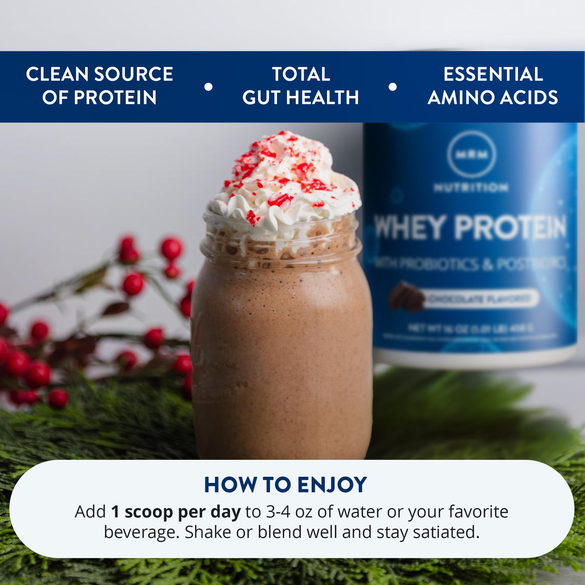 Whey Protein Chocolate 16 Servings D6073