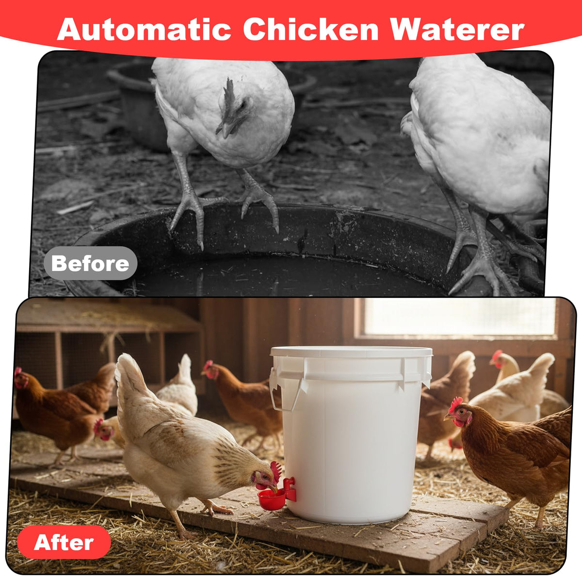 Automatic Chicken Waterer Cups 24-Pack Poultry Drinker with Hole Saw Q12011