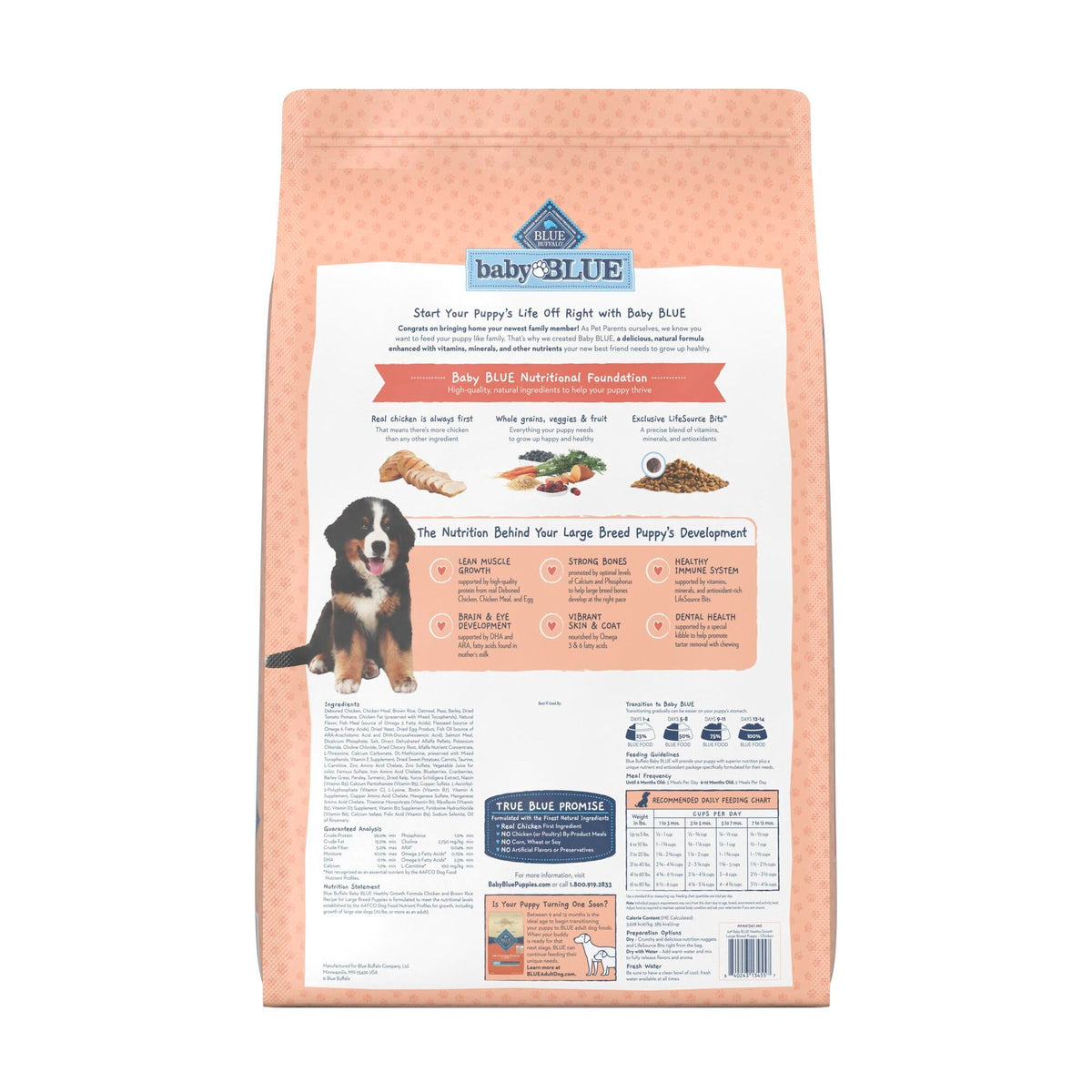 Large Breed Puppy Dry Dog Food Chicken and Brown Rice 24-lb Bag G80075