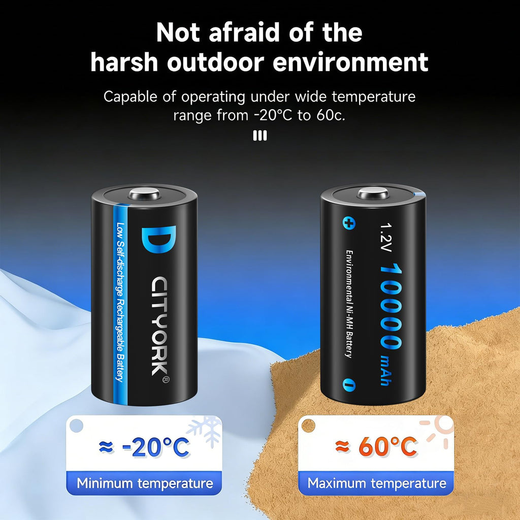 4 Pack Rechargeable D Batteries 10000mAh H916306