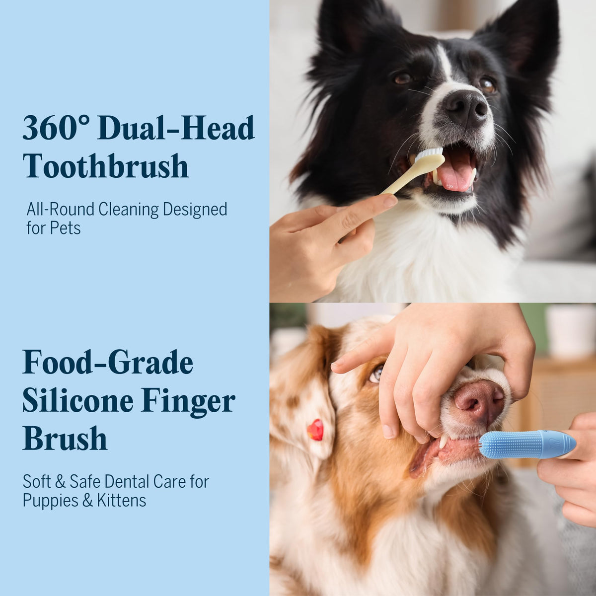 Dog Tooth Brushing Kit with 360° Toothbrush & Silicone Finger Brush T24438
