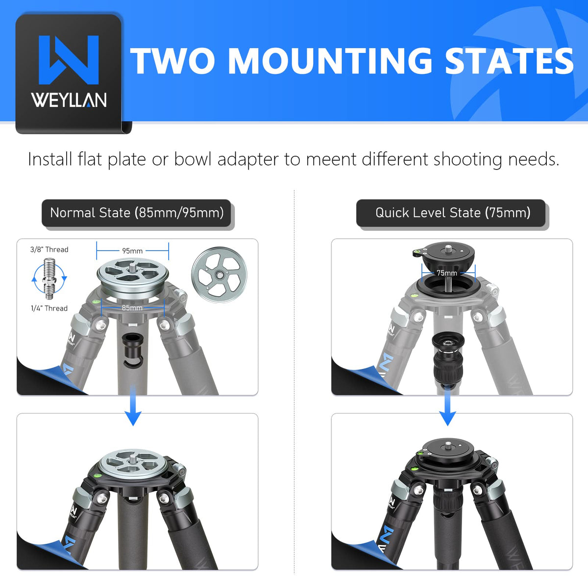Carbon Fiber Tripod with 75mm Bowl and Adapter K61102