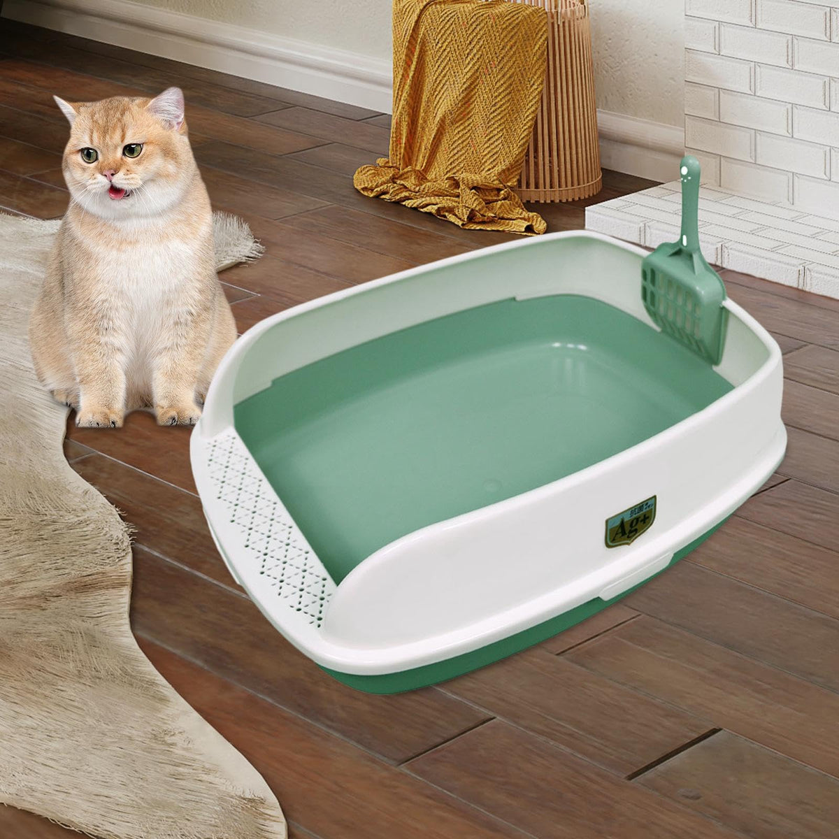 Green Sifting Cat Litter Box X937