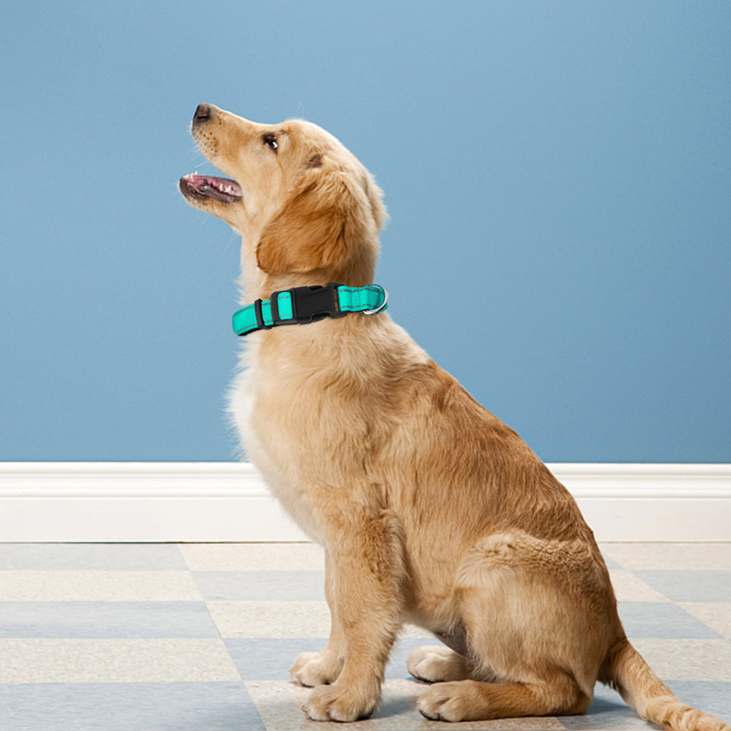 Reflective Adjustable Soft Neoprene Padded Dog Collar O815