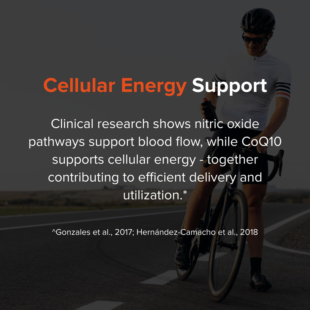 Nitric Oxide Supplement H594