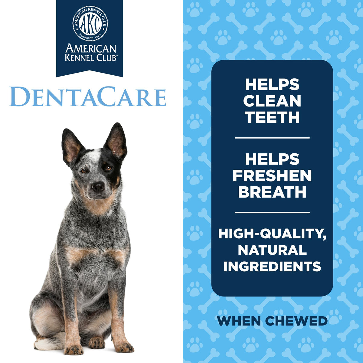 Medium Mint Flavored Dentacare Bones, 14 Count W5029