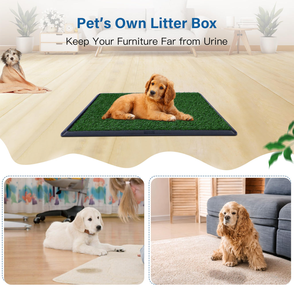 20"x25" Artificial Grass Dog Potty Pad with Tray Z945125
