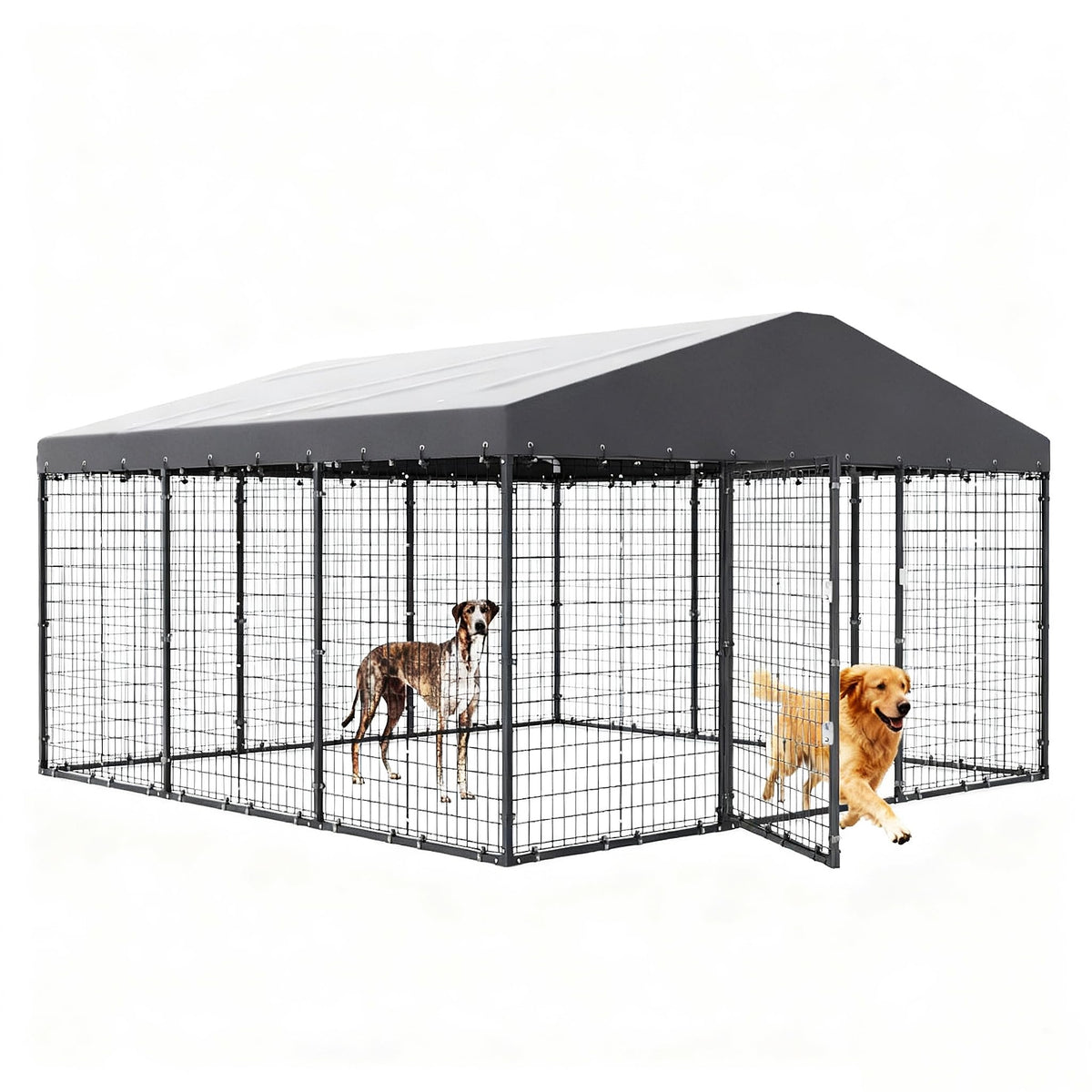 10 x 10 x 6 FT Outdoor Dog Kennel Q739