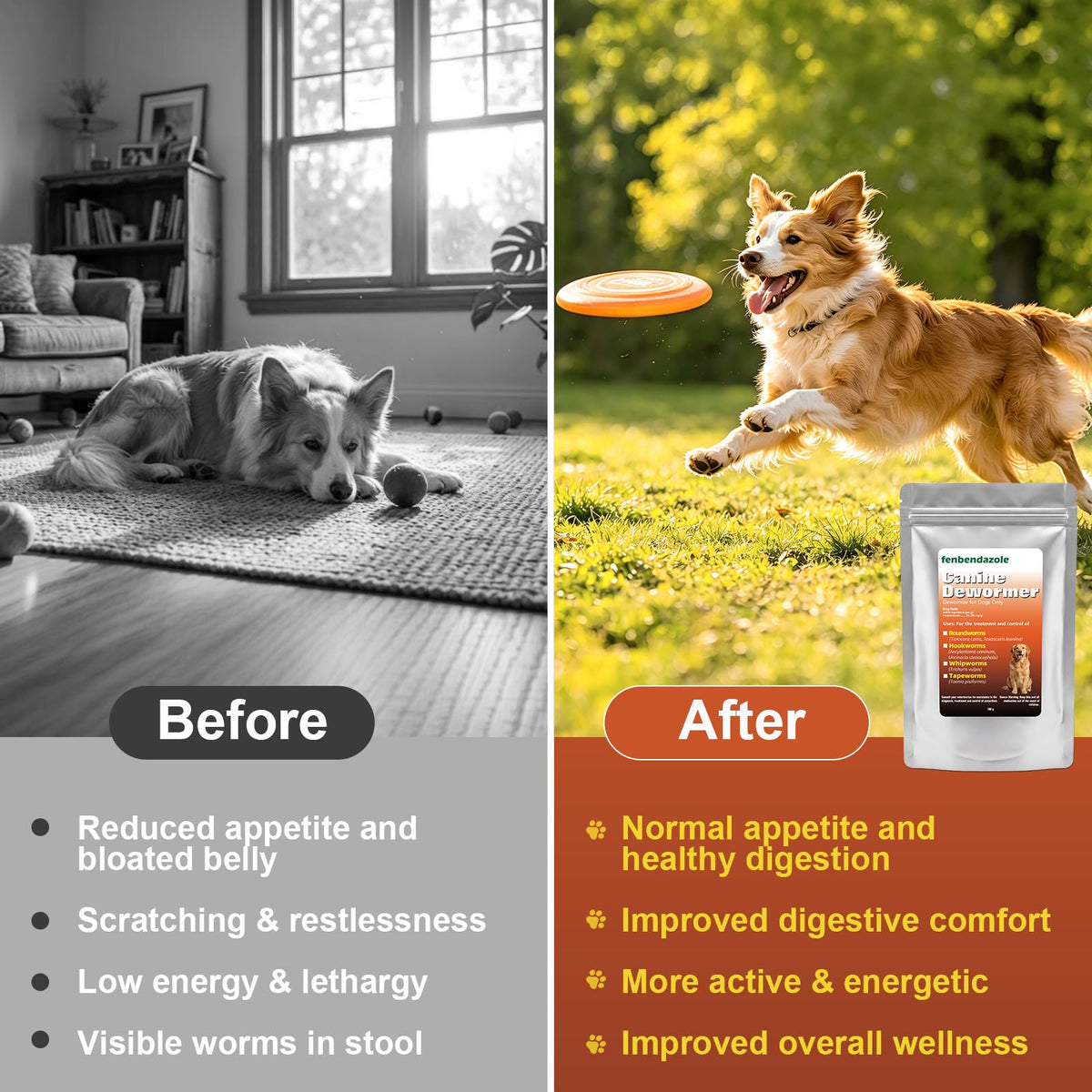Dog Dewormer 100g O9276