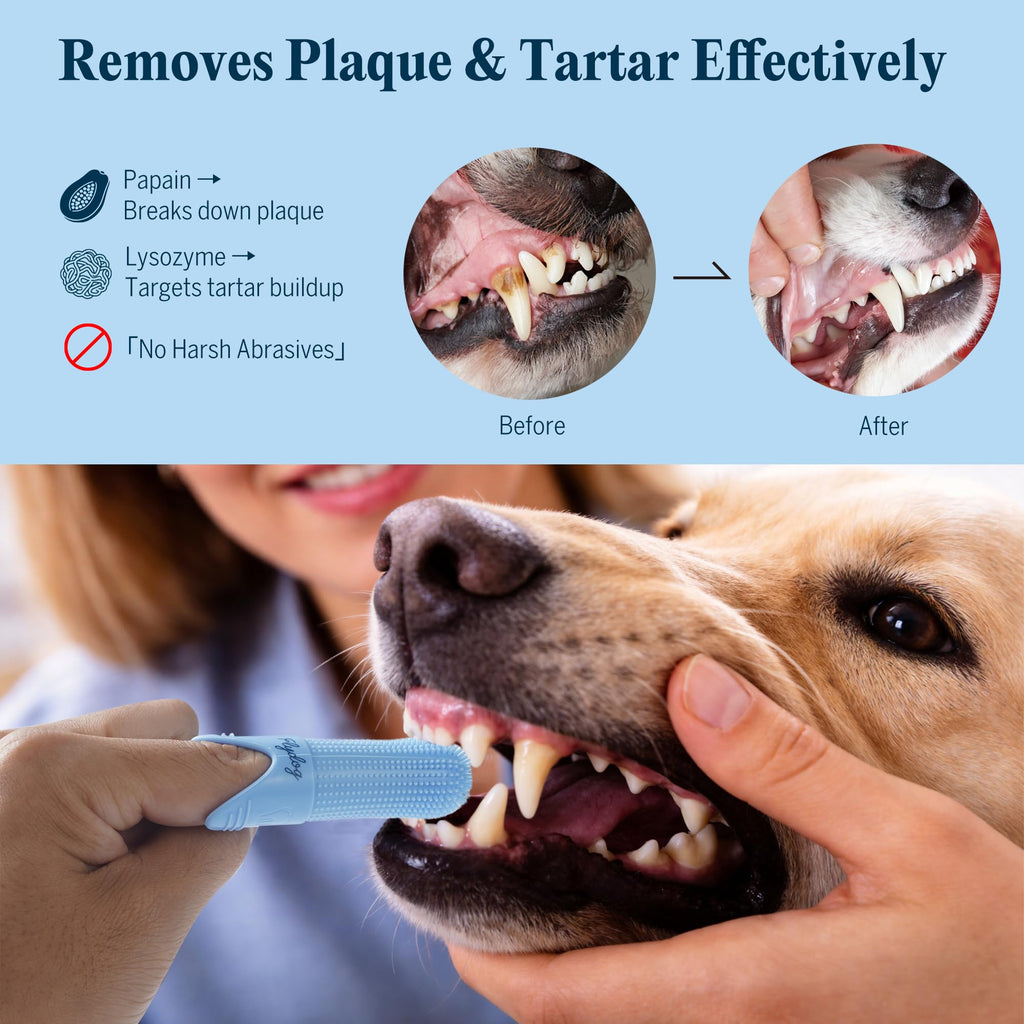 Dog Tooth Brushing Kit with 360° Toothbrush & Silicone Finger Brush T24438