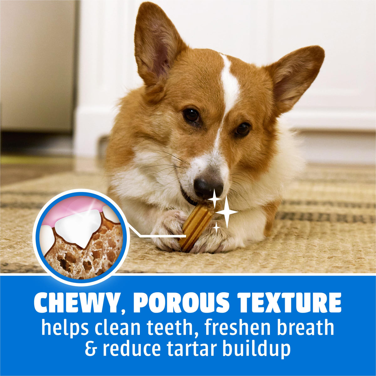 Daily Oral Care Dog Treats, Small/Medium, 60 ct K204