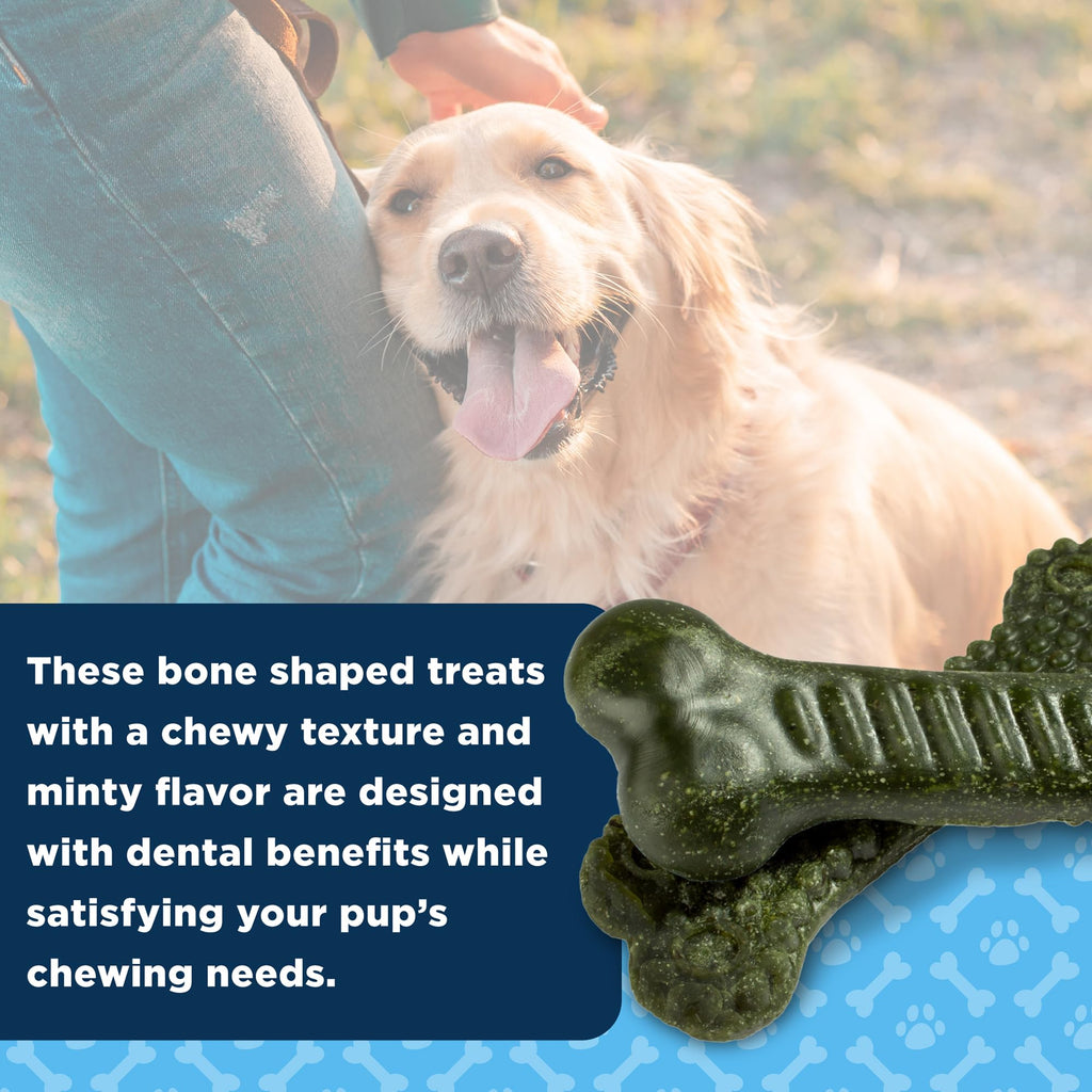 Medium Mint Flavored Dentacare Bones, 14 Count W5029