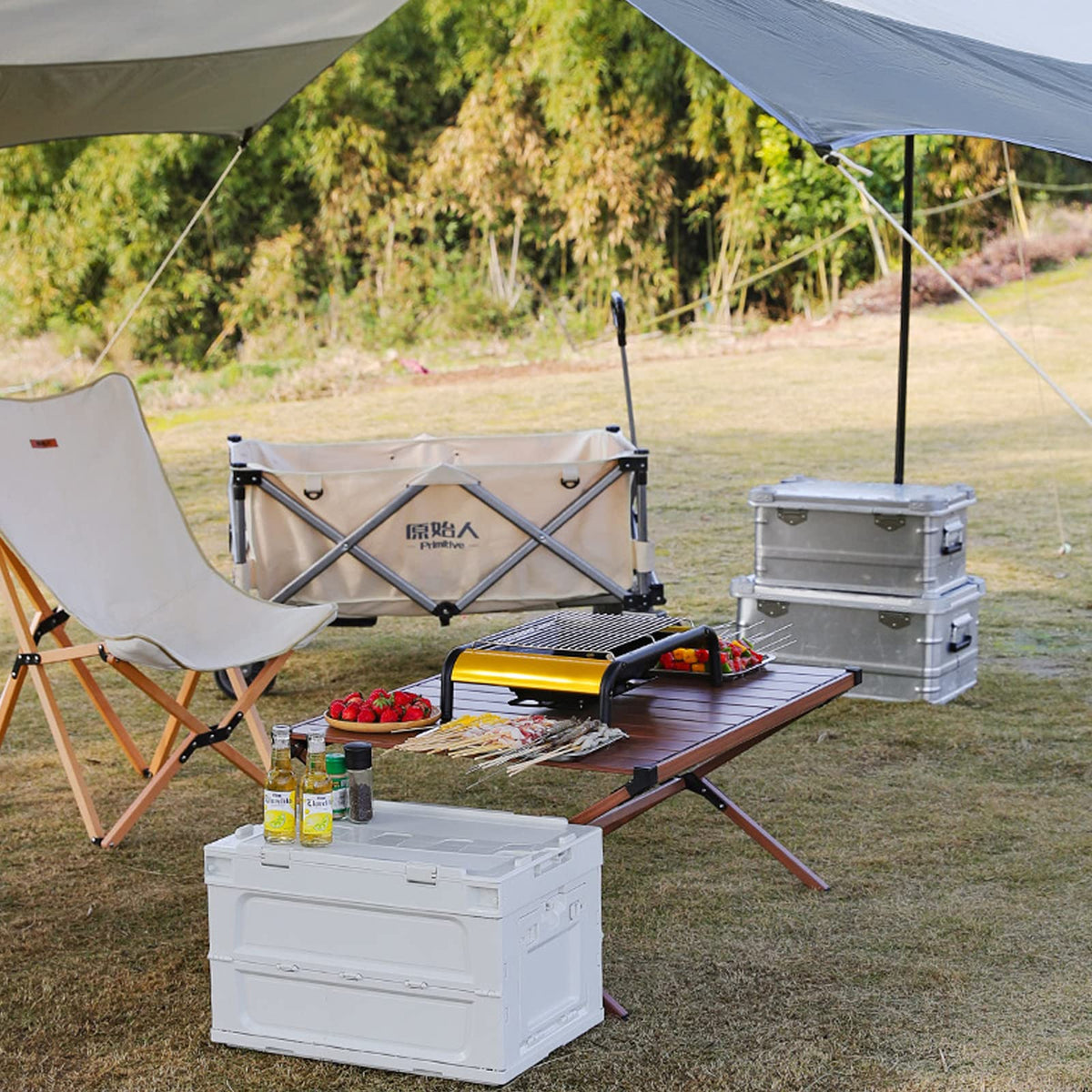 Charcoal BBQ Grill M312596