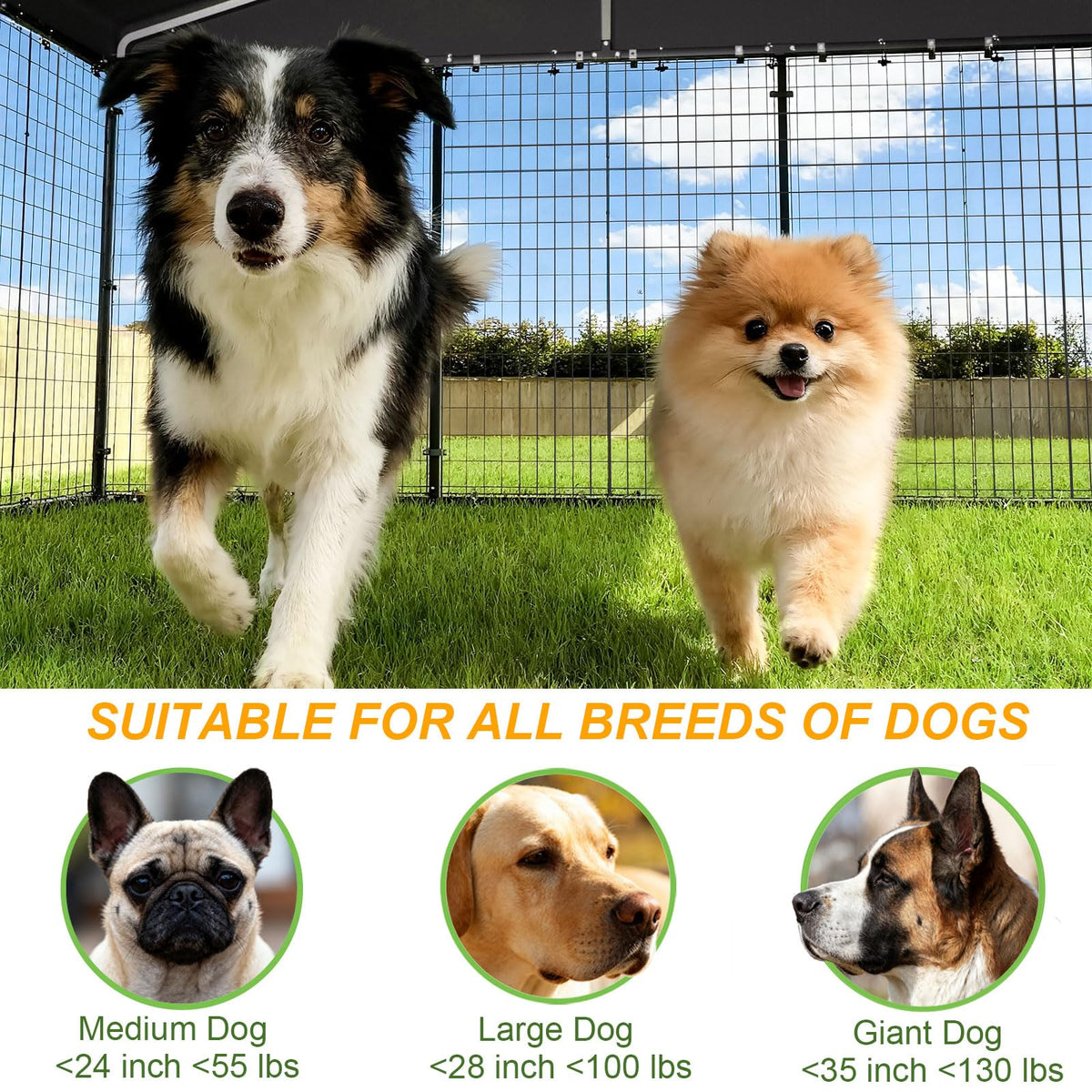 10 x 10 x 6 FT Outdoor Dog Kennel Q739