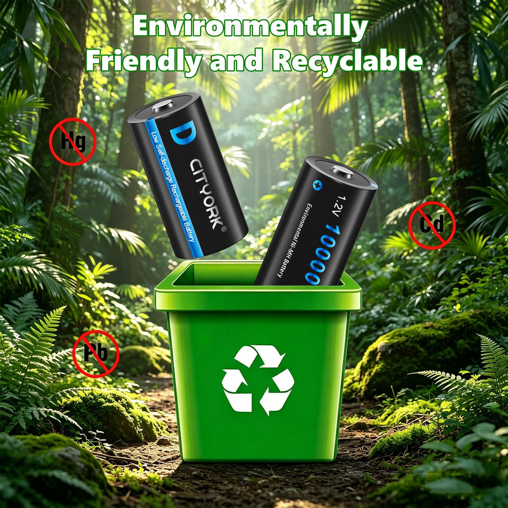 4 Pack Rechargeable D Batteries 10000mAh H916306