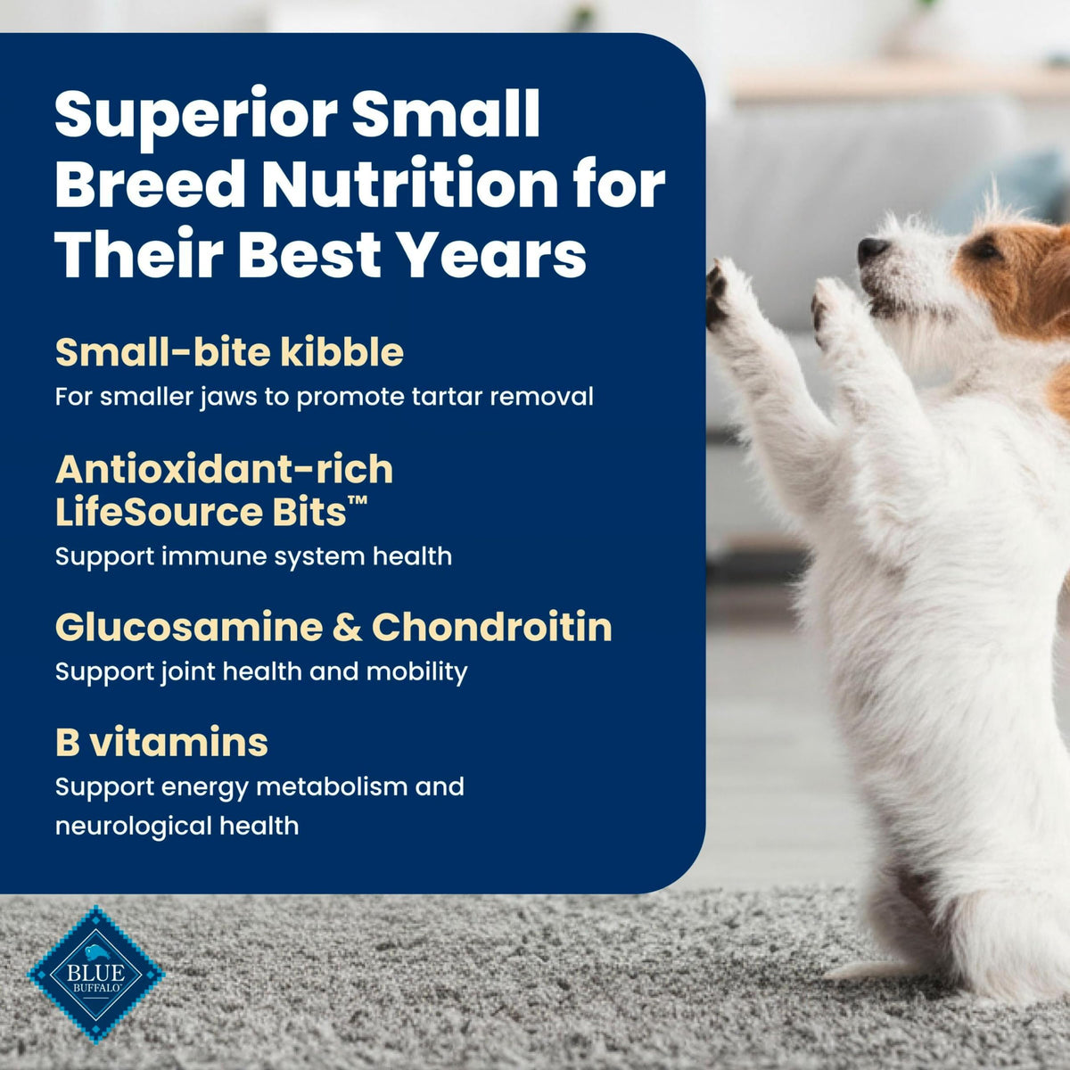 Chicken Small Senior Dog Food 5 lb U395802