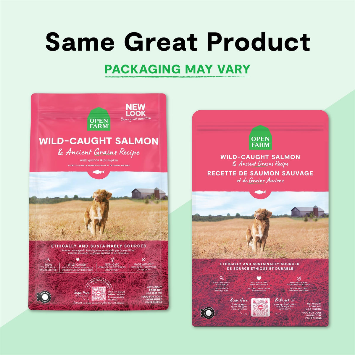 Dry Dog Food 22lb Bag W141