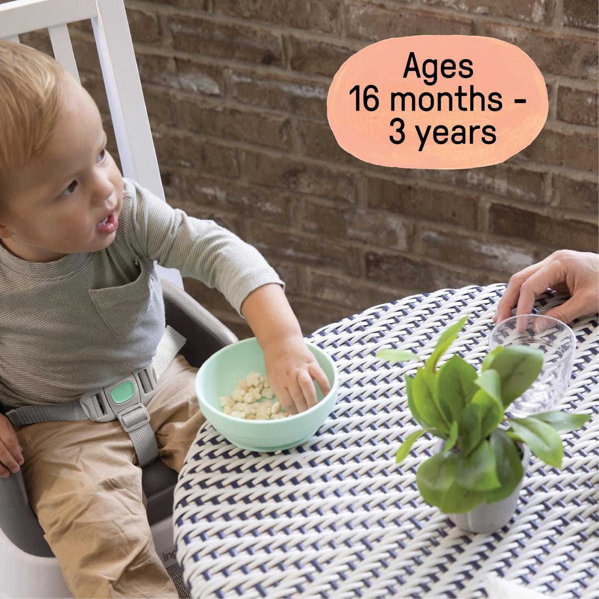 Lightweight Easy-Clean Toddler Booster Seat E929