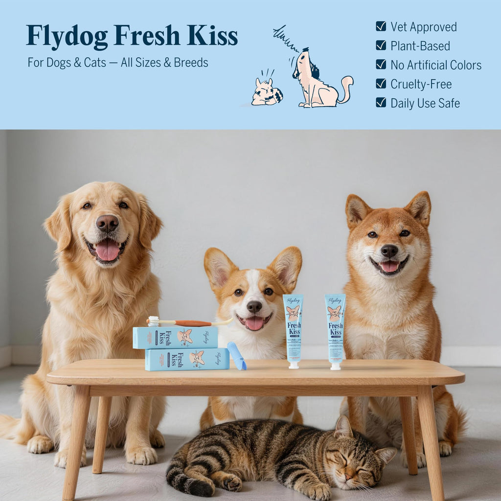 Dog Tooth Brushing Kit with 360° Toothbrush & Silicone Finger Brush T24438