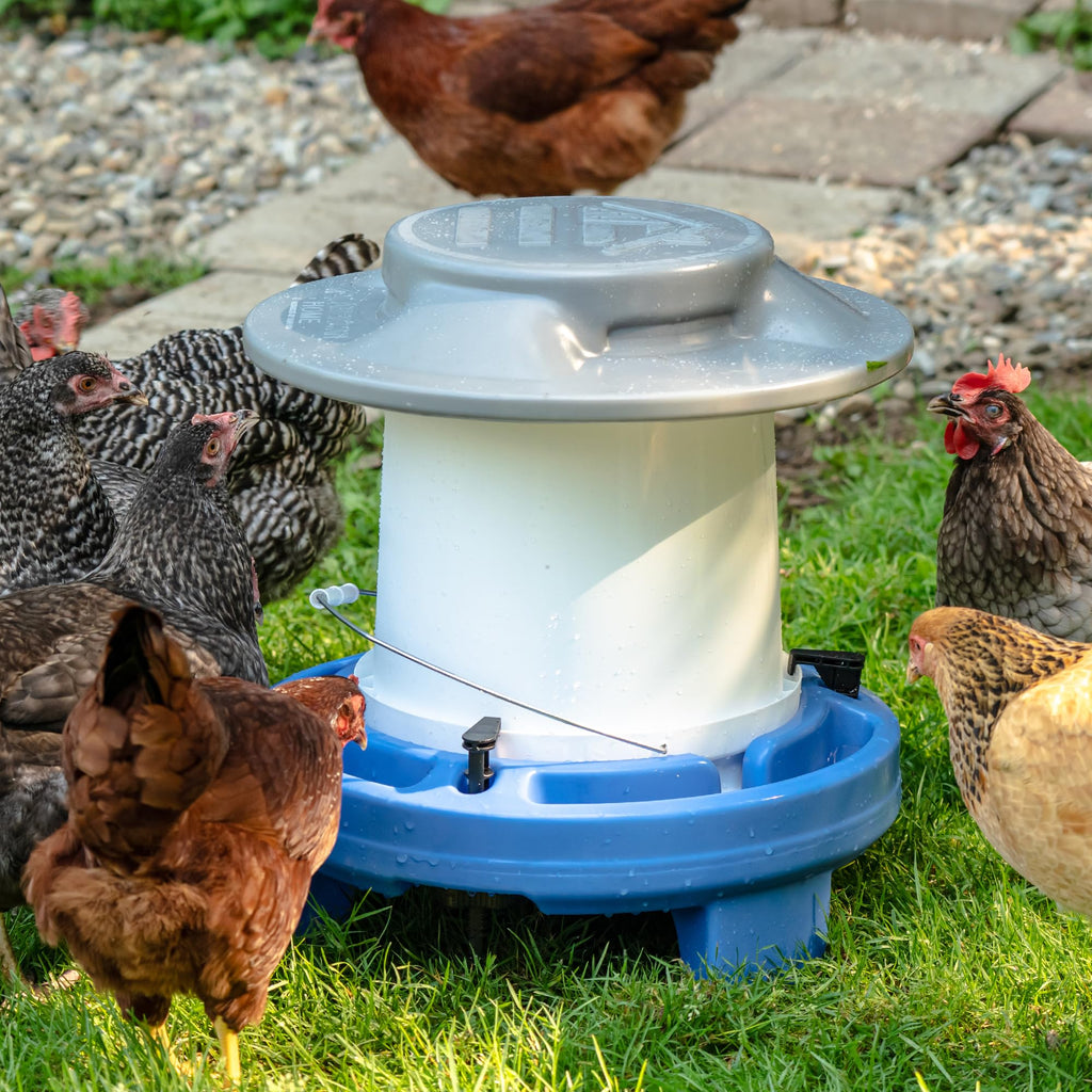 5 Gallon Chicken Waterer X740