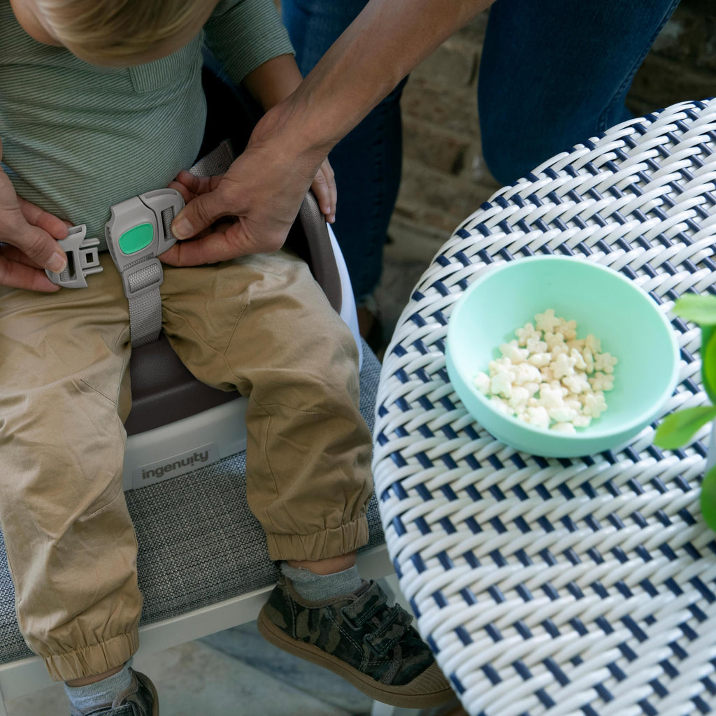 Lightweight Easy-Clean Toddler Booster Seat E929