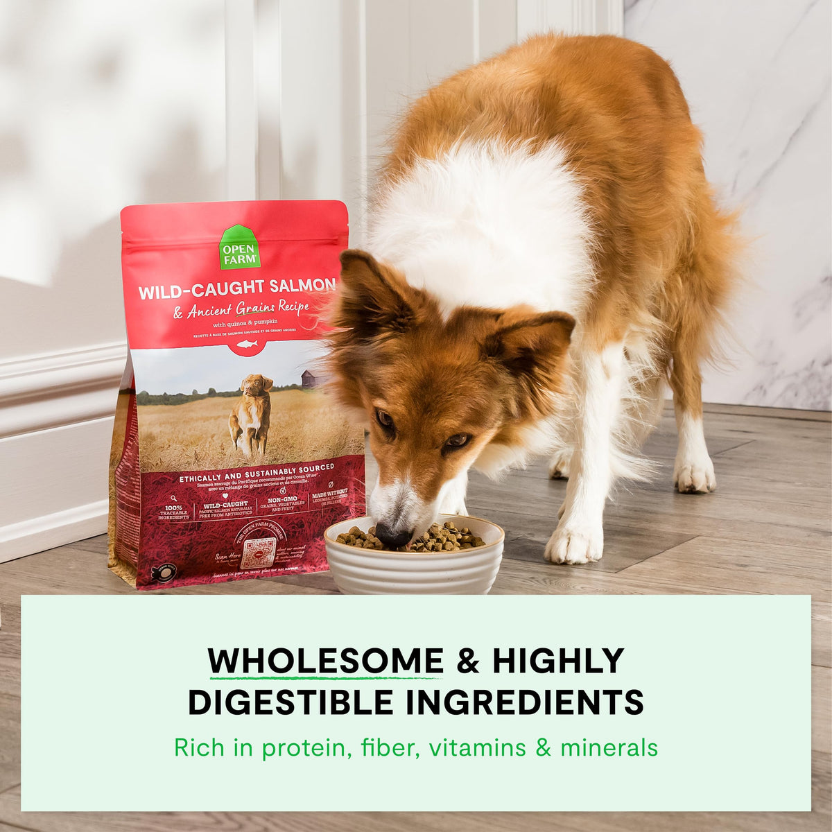 Dry Dog Food 22lb Bag W141